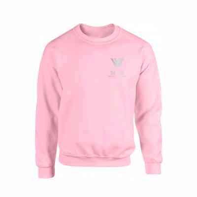 THE VIBE CREW IN PINK